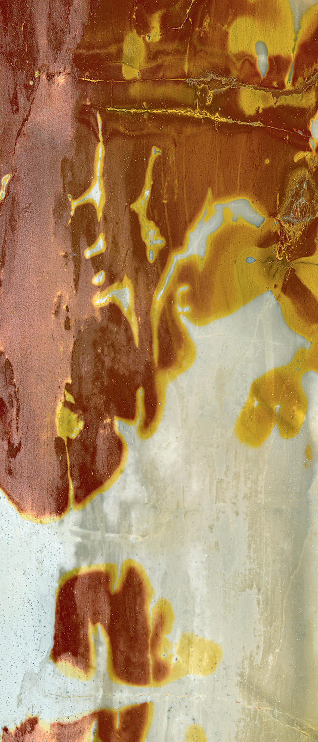 Lignin