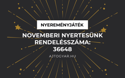 Kisorsoltuk novemberi nyertesünket